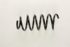 VOLVO 30648139 Coil Spring